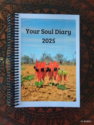 2025 Your Soul Diary – Pre-order (Direct from Jo)